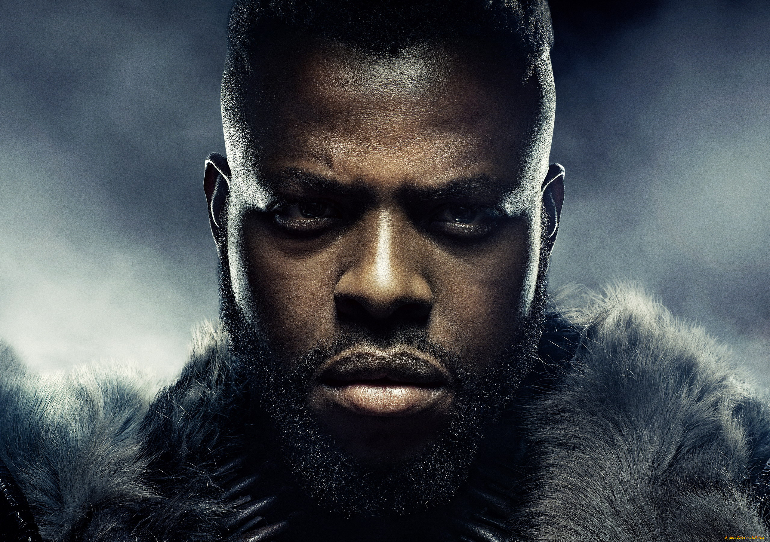  , black panther, black, panther